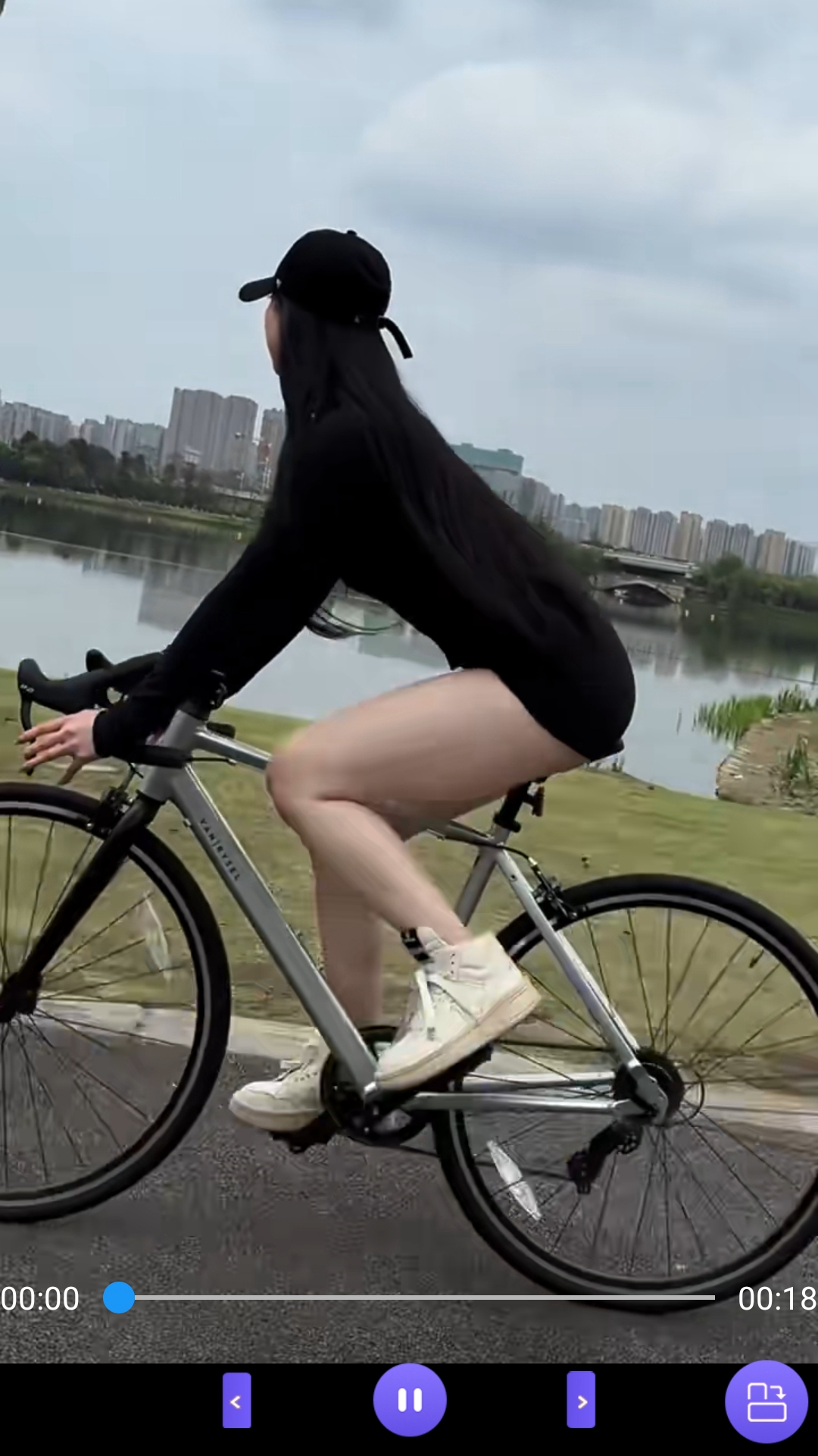如何让狗接受新成员截图
